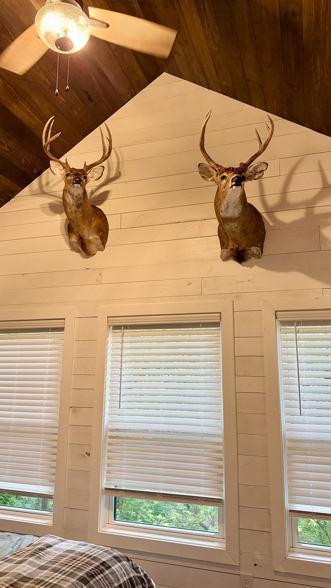 Rustic woodland decor